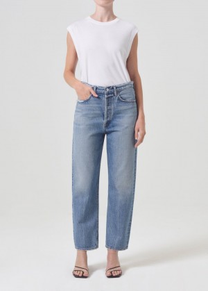 Agolde 90's Crop Mid Rise Straight Hooked | 163047-SEP