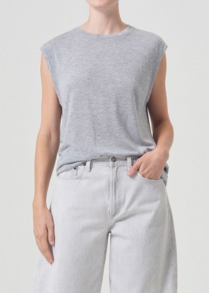 Agolde Raya Muscle Tee Grey | 137456-VJW